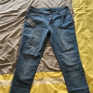 These pants are from Fashion nova.